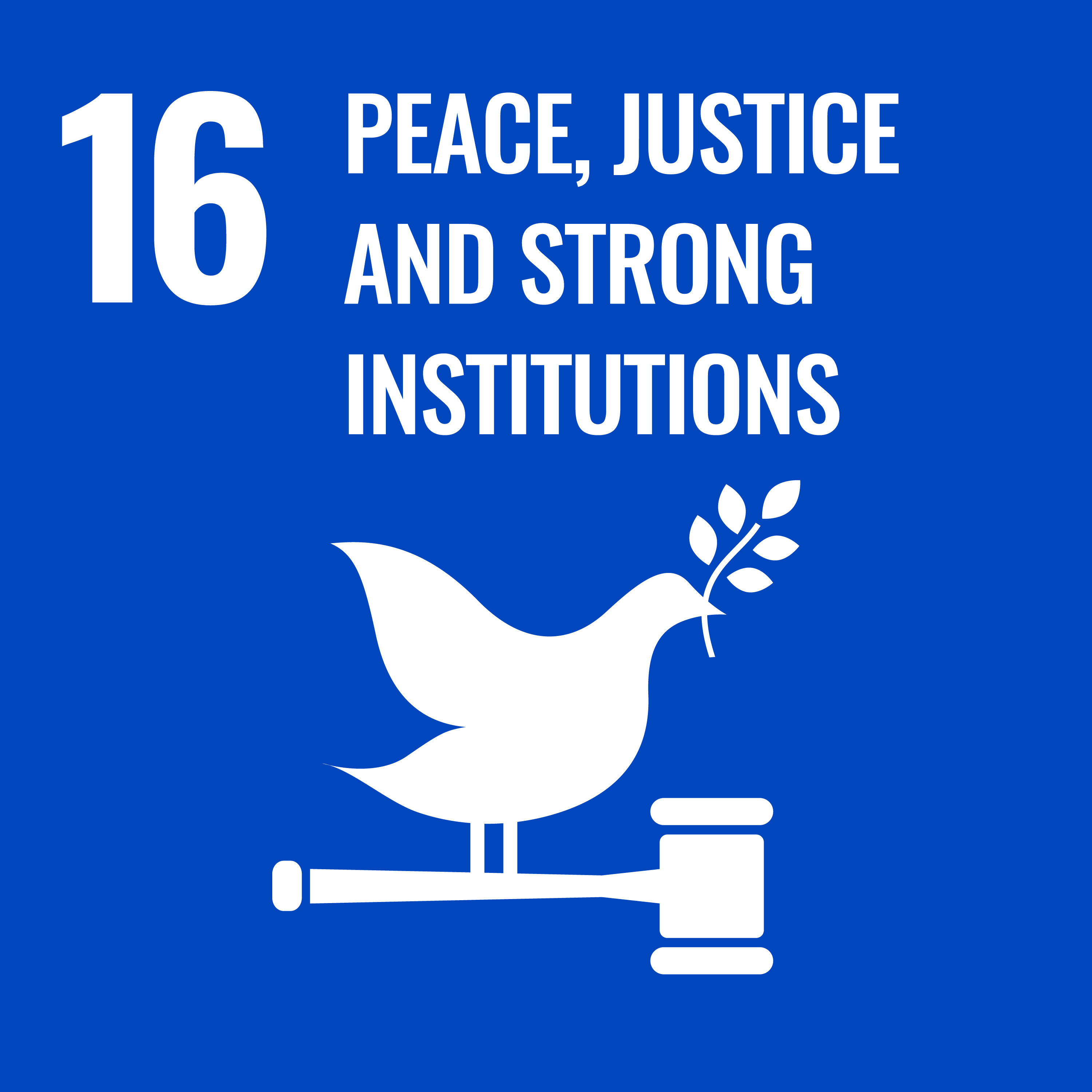 SDG16 平和と公正をすべての人に